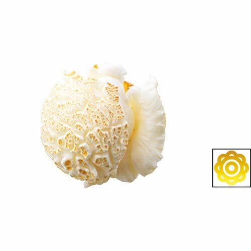味・香り ポップコーンメーカーおすすめ イメージ