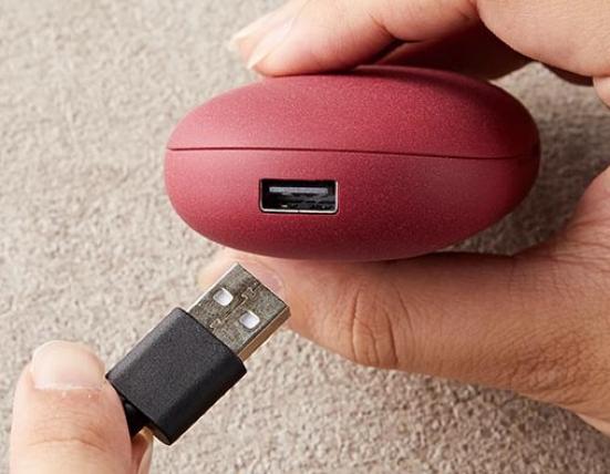 ポイント2:モバイルバッテリーになる