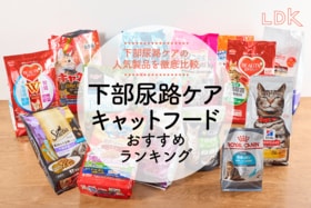 【2025年】下部尿路ケア・キャットフードおすすめランキング17選。信頼性や原材料などをLDKが比較