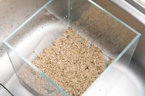 お魚と水草を目の前で楽しめる イメージ2