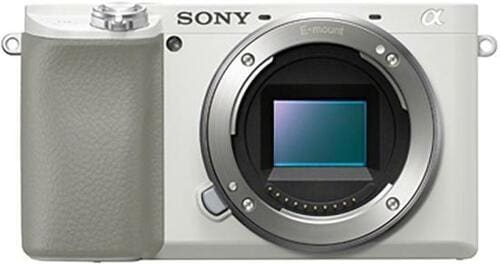 オートフォーカスの素早さは一級品! ソニー「α6100」 イメージ6