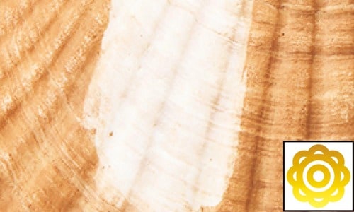 継続ホワイトニング力 ホワイトニングジェルおすすめ イメージ