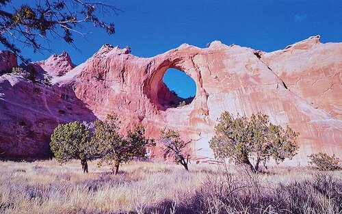 やや暗めだけど色みは正確 イメージ