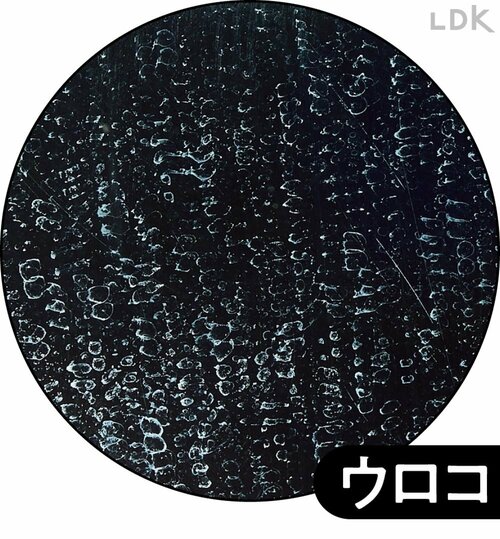 ウロコ 掃除用電動ブラシおすすめ イメージ