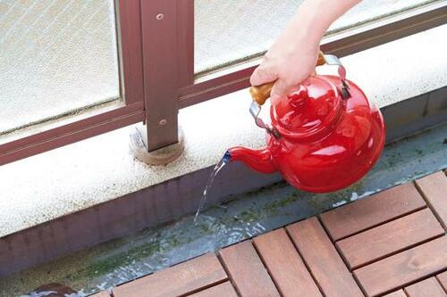 【ハウツー1】コケを落とすなら「お湯かけ」が正解!