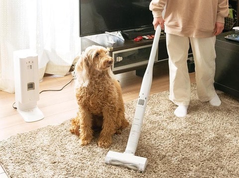 革新的なデザインが大人気！パナソニックのスティック型掃除機「MC