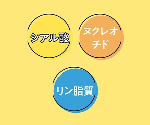 【成分】母乳の“守るチカラ”を意識した成分配合 スティック型乳児用粉ミルクおすすめ イメージ