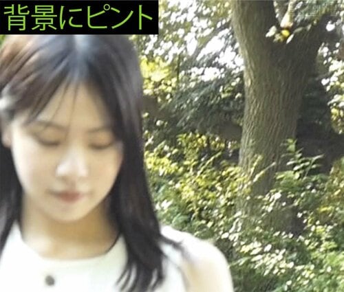 動画の画質はいいが、AF性能や手ブレ補正がやや弱い LUMIX DC-TX3おすすめ イメージ2