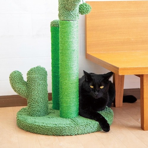 ナチュラルな雰囲気で癒やされる 猫用爪とぎおすすめ イメージ