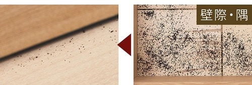 優れた吸引力を発揮 イメージ2