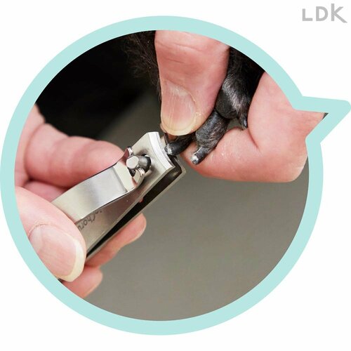 刃が曲線で丸くカットしやすい 犬用爪切りおすすめ イメージ