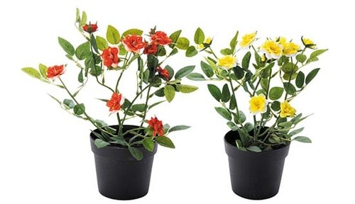 花びらの色や形にまでこだわった フェイクグリーンがたったの599円! イメージ