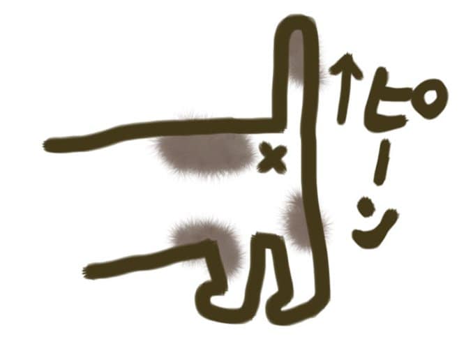 【イラスト図解】「猫のしっぽ」は口ほどにものを言う