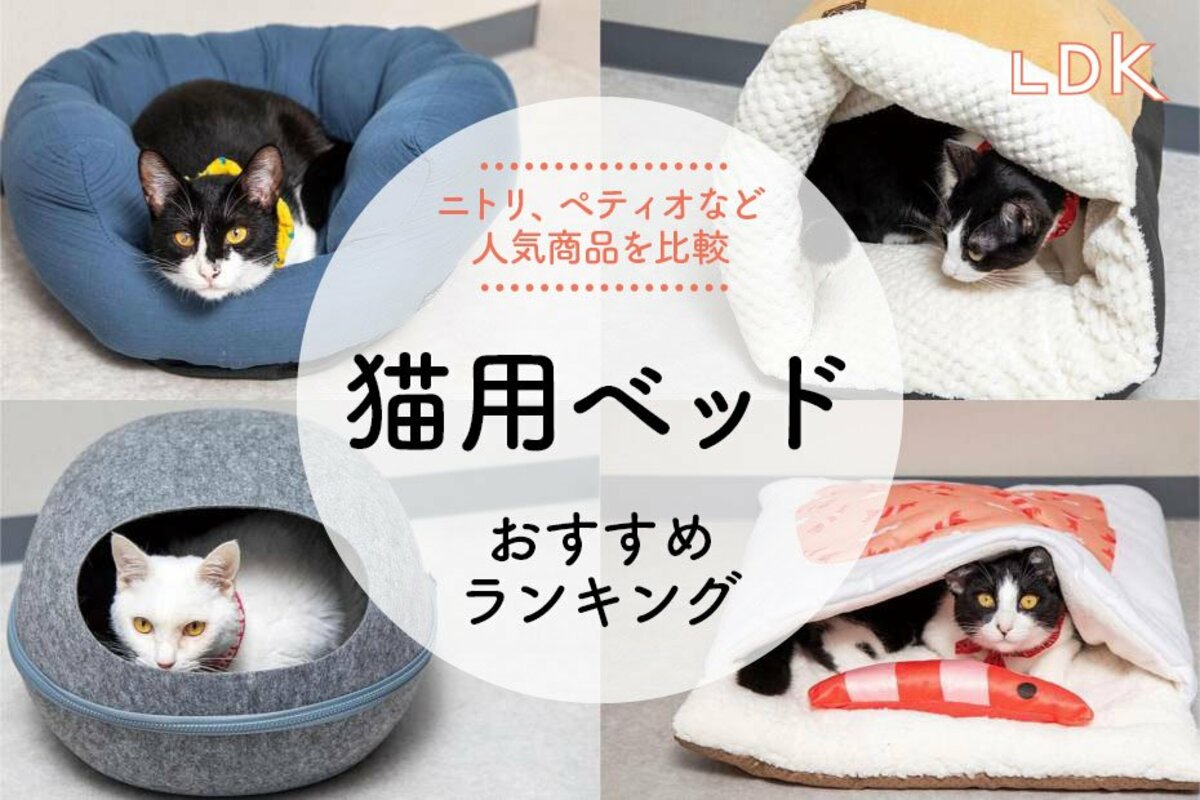 2025年】猫用ベッドのおすすめランキング7選。ニトリ、ペティオなど