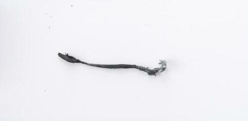 3位:ぺんてる「アイン消しゴム まとまるタイプ ZEAS10」 消しゴムおすすめ イメージ