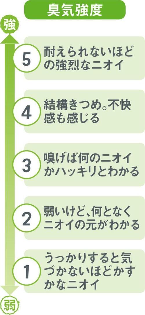 臭気強度の変化