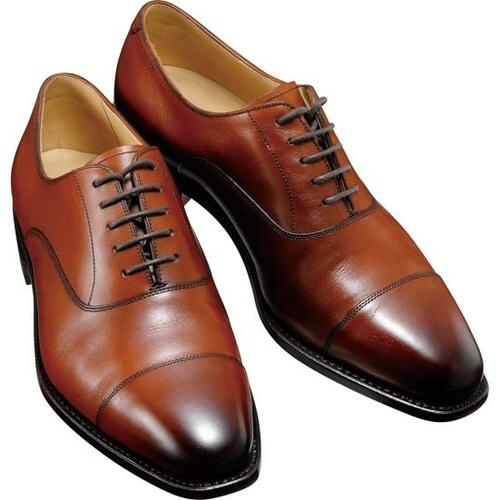 FUGASHIN「FV6401 DBR」