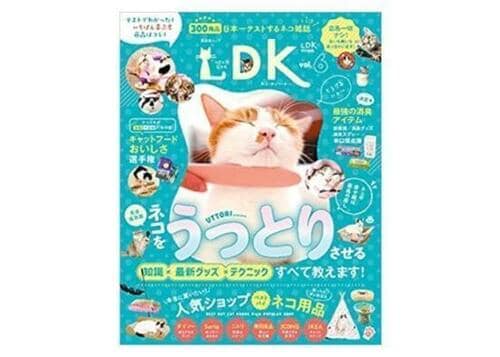 晋遊舎『ネコDK vol.6』 イメージ