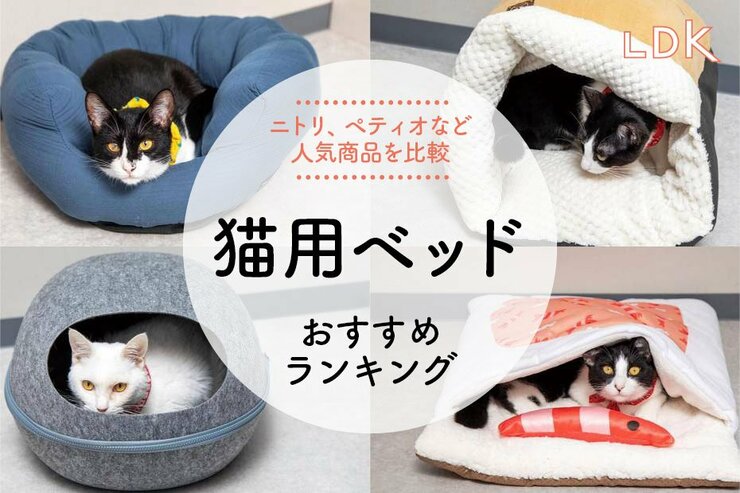 【LDK公式】猫用ベッドのおすすめランキング。ニトリ、ペティオなど人気製品を比較