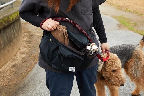 犬のお散歩バッグとは？ 犬のお散歩バッグおすすめ イメージ