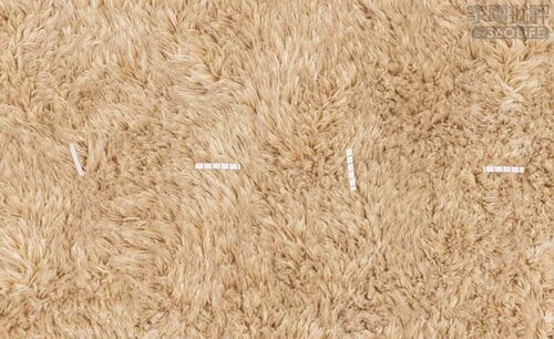 長毛じゅうたん ドック付き掃除機おすすめ イメージ