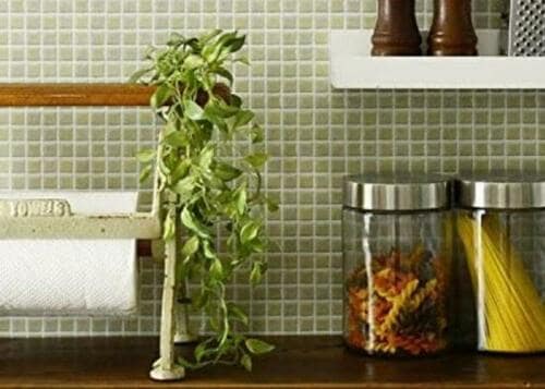 ポイント：水に強い素材でずっとキレイ イメージ2