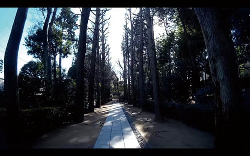 C評価: 暗めでアプリもないがこの価格なら十分 イメージ