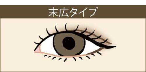 ▼末広タイプ