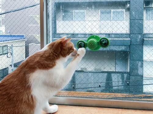 Pawaboo「猫風車のおもちゃ」 イメージ2