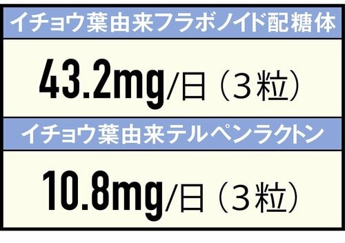 成分：ビタミンB群も配合 イチョウ葉エキスサプリおすすめ イメージ