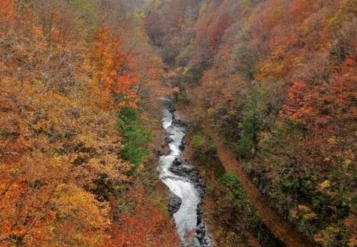 【中部編5選】老舗から届く伝統の味覚 イメージ