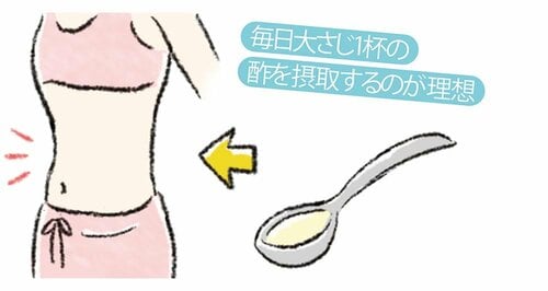お酢の力でダイエット?!内臓脂肪減少に期待 ピクルスの素おすすめ イメージ