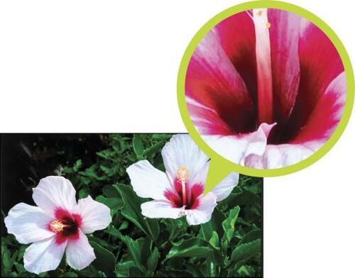 検証結果2：プロによる評価 イメージ2