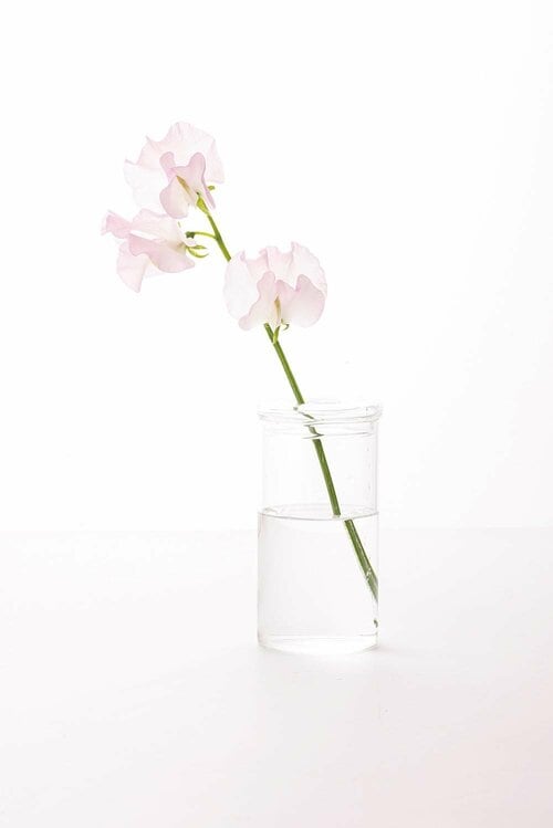 無印良品 ガラス器 シリンダー型 蓋つき イメージ2