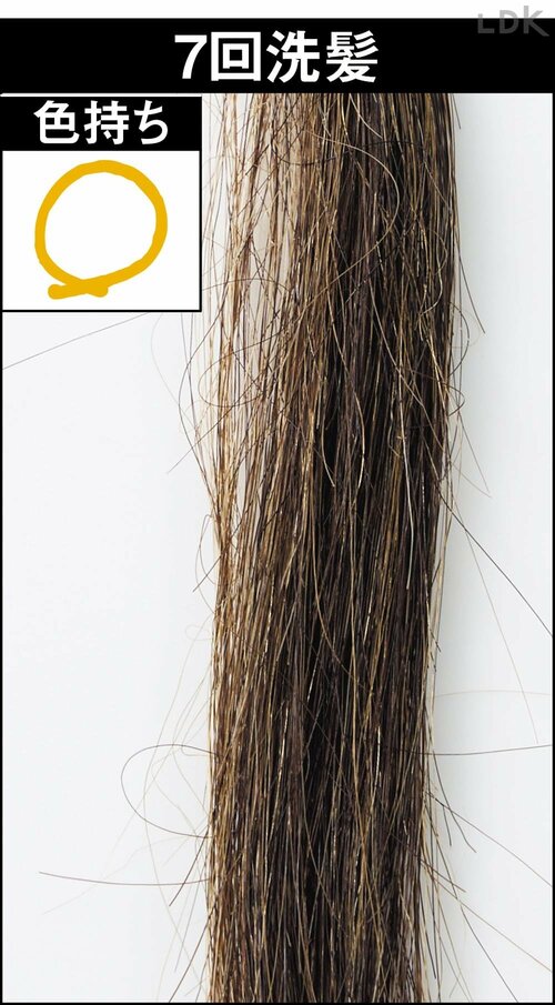 7回洗髪 白髪染めヘアカラーおすすめ イメージ