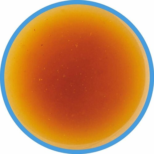 焼肉のたれおすすめ ハグルマ 瀬戸内レモンのたれ 塩だれ風 イメージ2