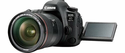 【フルサイズ一眼レフ部門】実用性の高いフルサイズ イメージ3