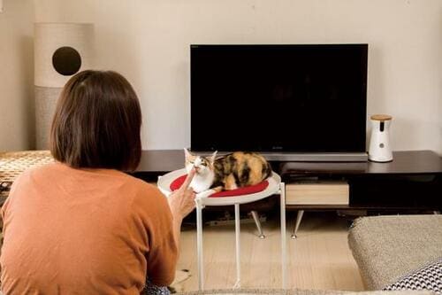 イケア「グラドム トレイテーブル」2