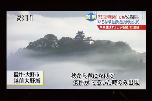 ちなみにAmazonには型落ちレコーダーも充実しています