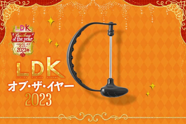 めんどくさい段ボール処理がひと刺しで一気に！ 買ってよかったアイテムとは？【LDKベストバイ2023】