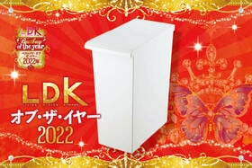 手動式のキッチンごみ箱ならリス「TOSTE」。半開きキープが超ラク！【LDKベストバイ2022】