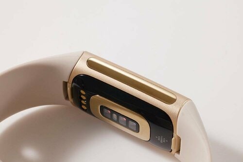 女性向けスマートウォッチおすすめ フィットビット Charge5 イメージ2