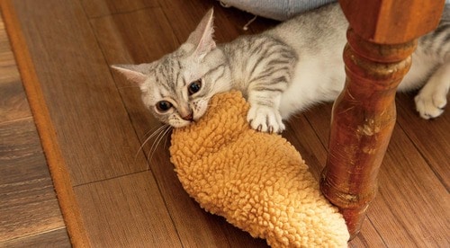 キックするよりも噛みたくなる？ 猫用おもちゃおすすめ イメージ