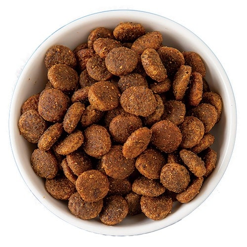 グレインフリーキャットフードおすすめ レシアン ブリットケア インドア イメージ2