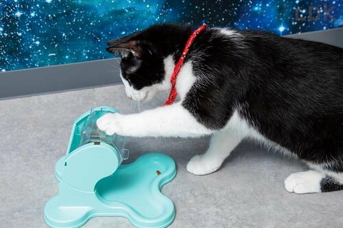 知育おもちゃ 猫用おもちゃおすすめ イメージ2