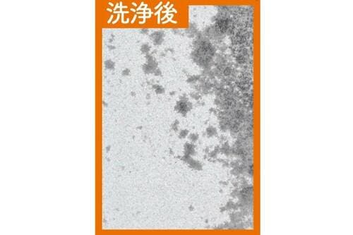 洗浄力:◯ プチプラ洗顔料おすすめ イメージ