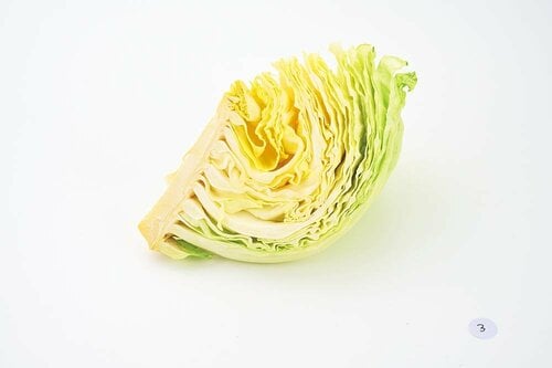 鮮度保持:葉物野菜は7日後もみずみずしい! イメージ