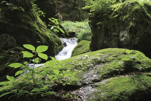 レジャーのお供に一台は欲しいポータブルラジオ イメージ