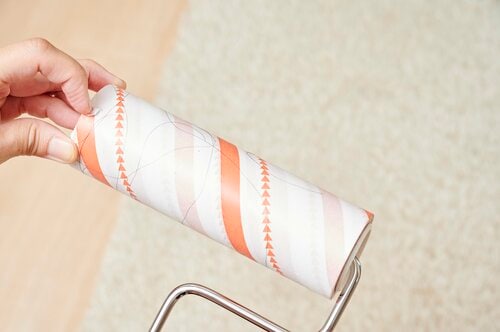 持続力があまりないのが残念 粘着クリーナーおすすめ イメージ2
