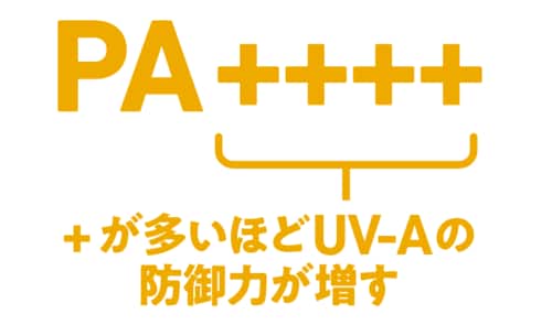 PAは＋が多いほど真皮層へのダメージ減！ 日焼け止め下地・UV下地おすすめ イメージ